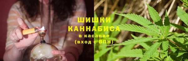амф Алзамай