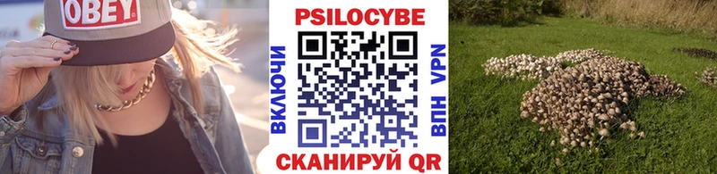Псилоцибиновые грибы GOLDEN TEACHER  Любим 